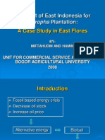 Prospec of East Indonesia For Jathropha Plantation Case Study in East Flores