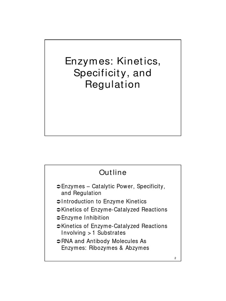 Enzymes & Regulation PDF Enzyme Enzyme
