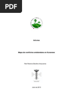 Informe Mapa de Conflictos Ambientales en Kurarewe