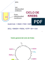 Ciclo de Krebs