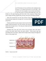 Anatomi Fisiologi Kulit Afrida