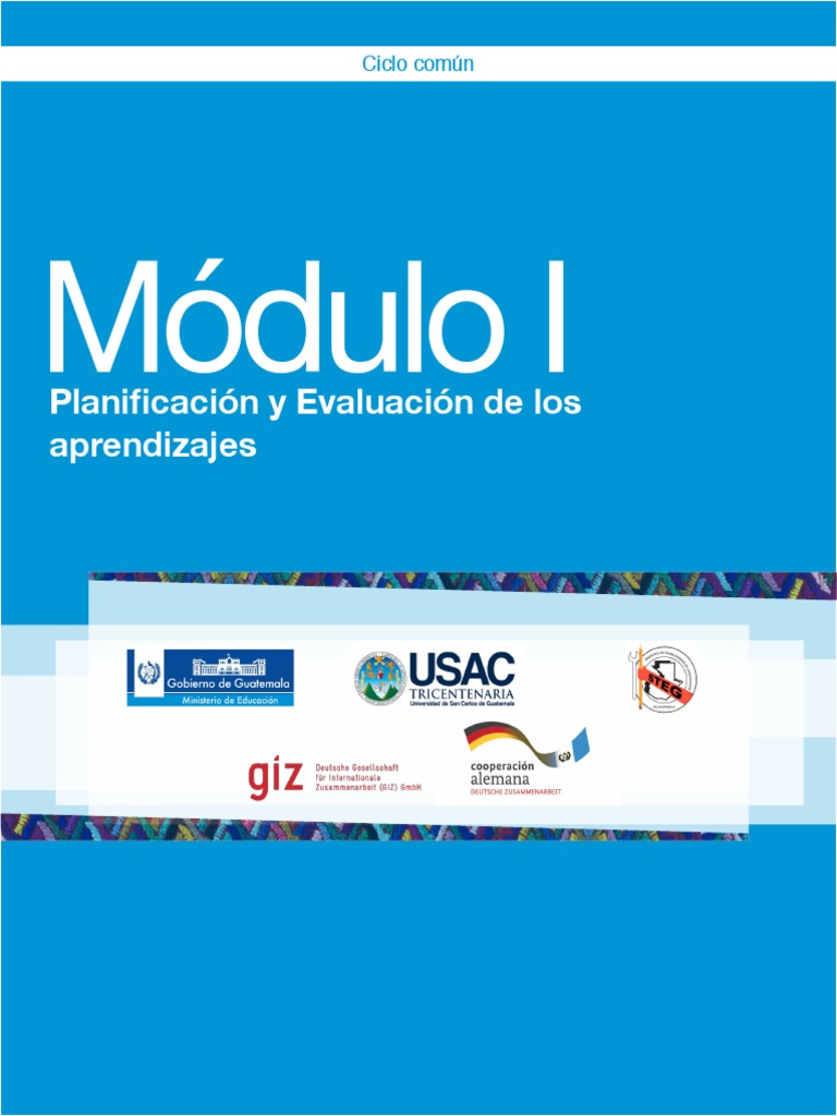 Módulo I Planificación y Evaluación | PDF | Plan de estudios | Aprendizaje