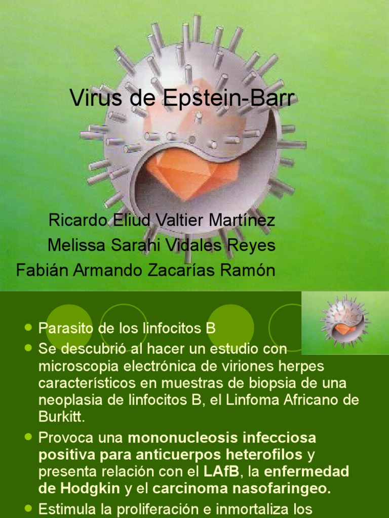 Virus de Epstein Barr | PDF | Virus | Sistema inmune