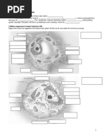  Cell Structure and Cell Organisation