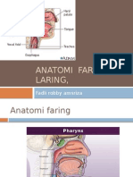  Anatomi Fisiologi Faring Laring Esofagus