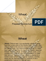 Wheat: A Staple Crop Around the World