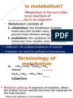 Biochemistry - Metabolism
