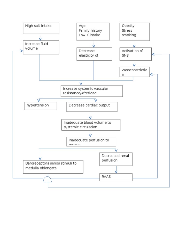 Hypertension Pathophysiology | PDF