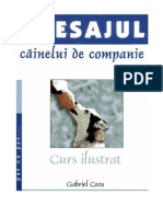 Gabriel Cocu - Dresajul Cainelui de Companie PDF