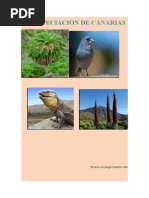 LA ESPECIACIÓN DE CANARIAS.docx