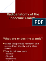 Radio Anatomy of Endocrine Glands Ppt1-14