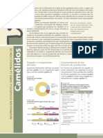 Linea Base Camelidos 2010 Pnud Bolivia