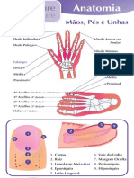 Anatomia Manicure e pedicure
