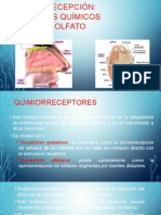 Quimiorecepción F.A