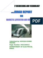 Maglev Report