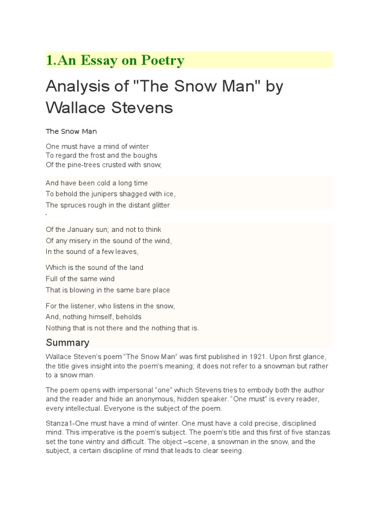 Essay on poetry in english image