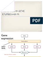 chapter 8a Gene Expression 2.pdf