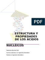 acidos nucleicos biologia