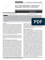 Aslim 4 PDF