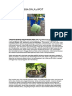 Tanam Mangga Dalam Pot PDF