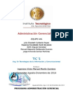 Administración Gerencial TIC