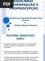 AULA Exercícios de Equilibrio Coordenação e Própriocepção