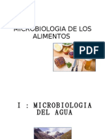 Microbiologia de Los Alimentos