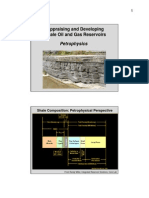 Petrophysics in Shale Gas