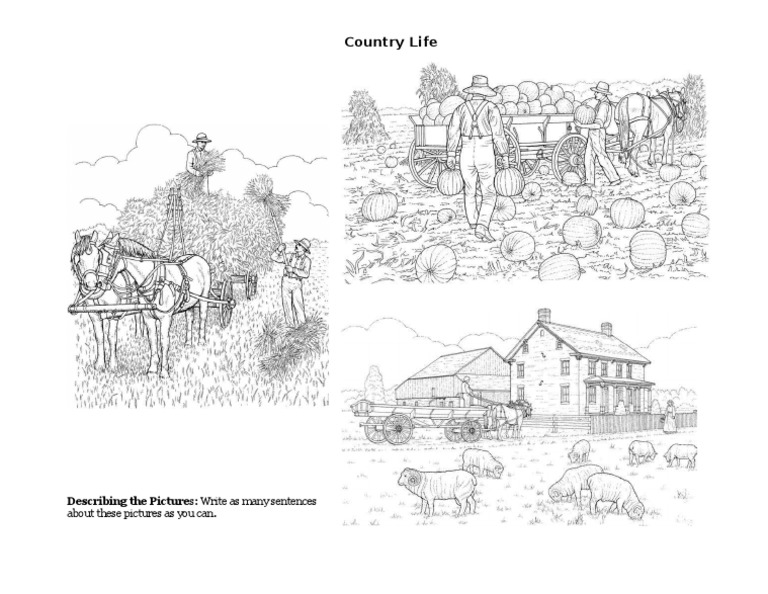 Country Life: Describing The Pictures: Write As Many Sentences | PDF ...