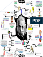 Albert Einstein map