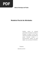 Relatorio Parcial Mestrado Fapesp