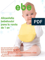 QbebeGhid2009.pdf