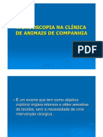 A Endoscopia Na Clinica de Animais de Companhia