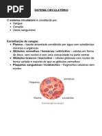 Ciências Natureza 6º