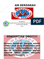 DEMAM BERDARAH