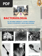 Bacterias