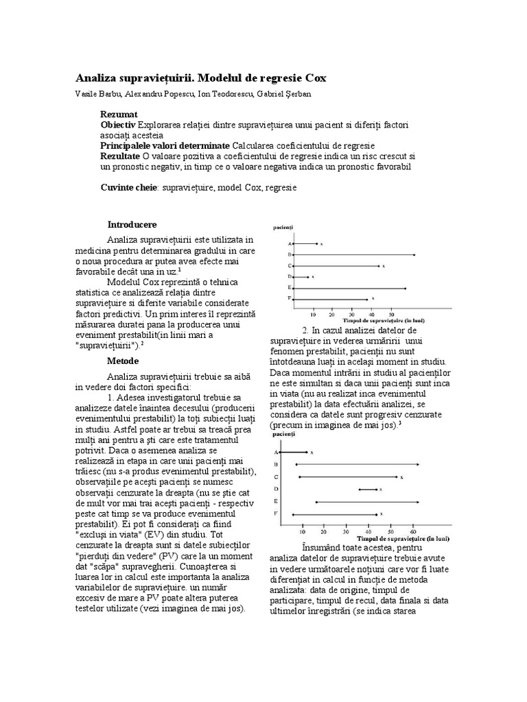 Referat Informatica | PDF