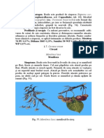 ciresul.pdf