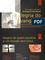 A Alegria Do Evangelho 