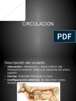 CIRCULACION