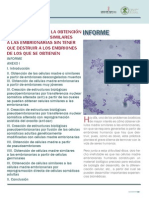 Alternativas para La Obtención de Células Madre Similares A Las Embrionarias Sin Tener Que Destruir A Los Embriones de Los Que Se Obtienen PDF