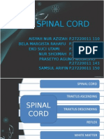 Asuhan Keperawatan Spinal Cord