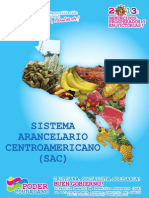 SAC Actualizado 2013 Nicaragua