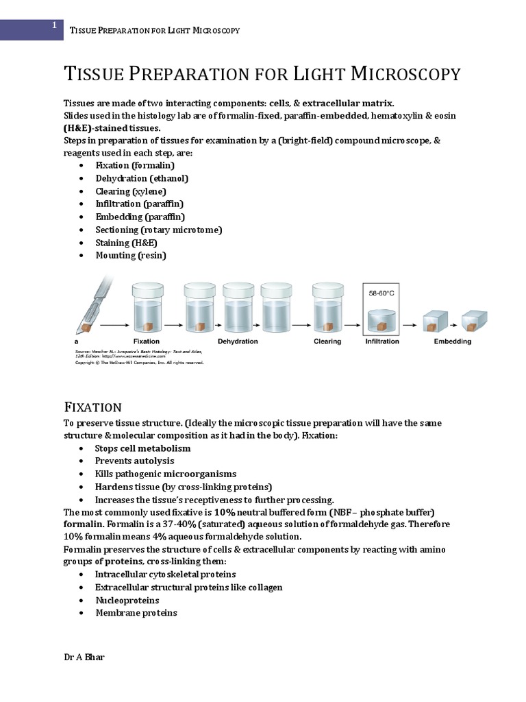 Tissue Preparation for Light Microscopy Staining Fixation