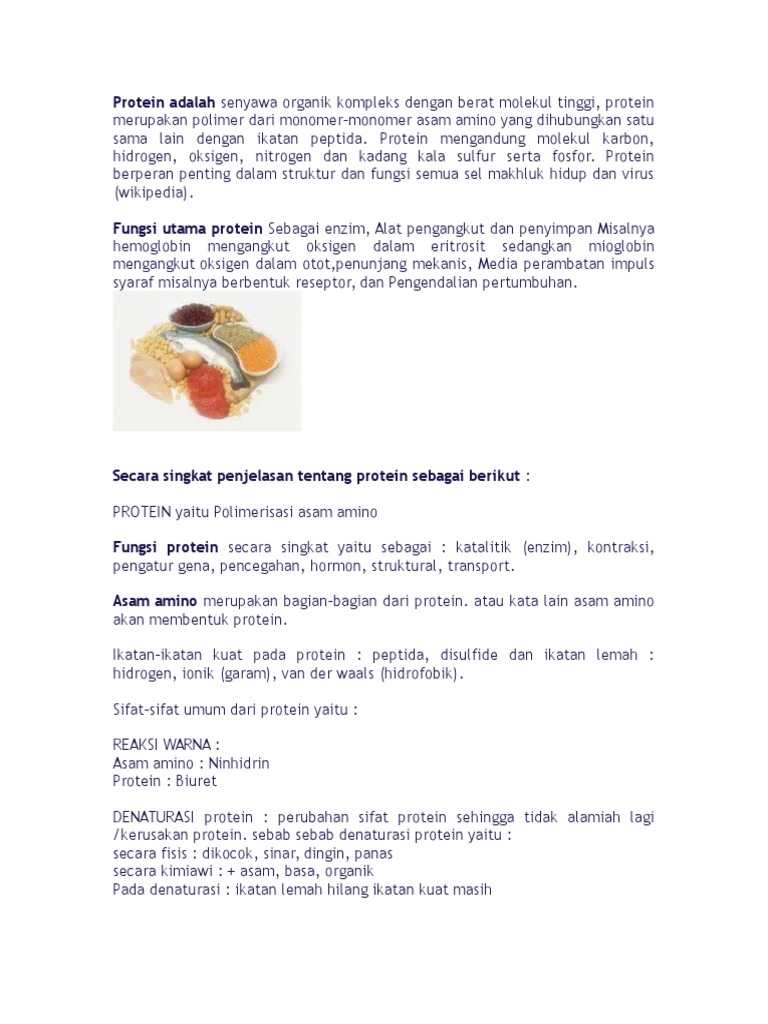 Protein Adalah Senyawa Organik Kompleks Dengan Berat Molekul Tinggi