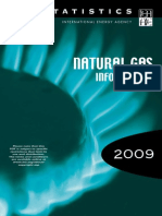 NatGasInf09 PDF