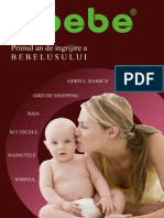 QbebeGhid2010.pdf
