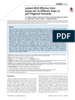 Functionally Redundant RXLR Effectors fromPhytophthora infestans.pdf