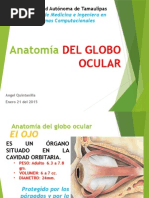 Anatomia y Fisiologia Del Globo Ocular