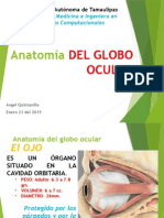 Anatomia y Fisiologia Del Globo Ocular